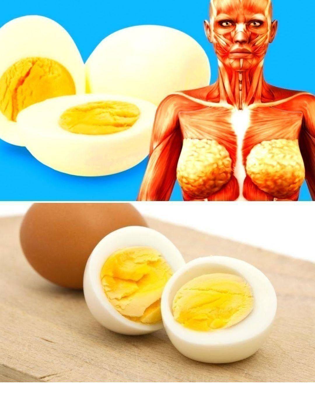 Unglaubliche Rezepte: Entdecken Sie Wissenswertes und Köstlichkeiten