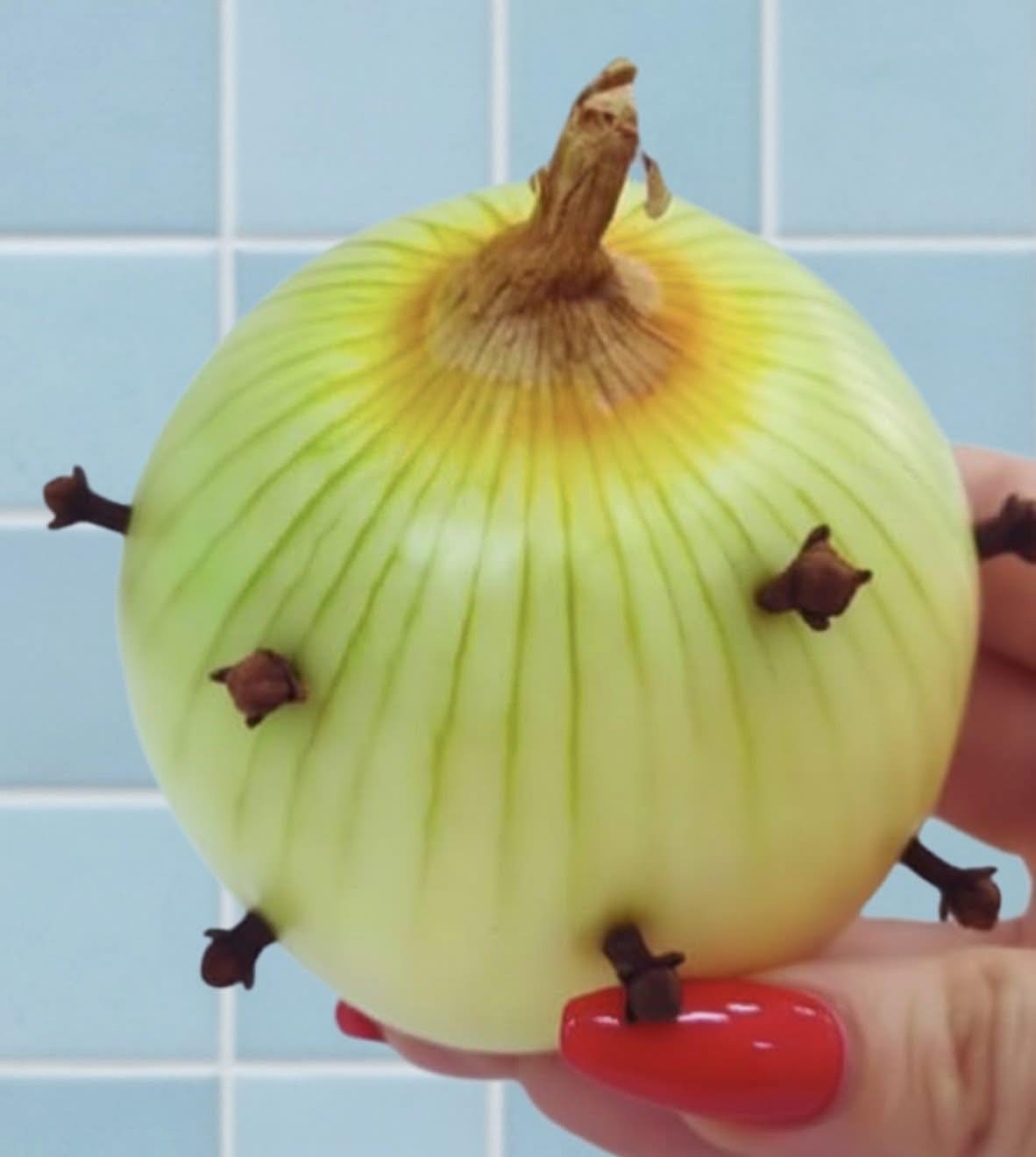 Der kuriose Trick meiner Großmutter: Nelken in eine Zwiebel stecken