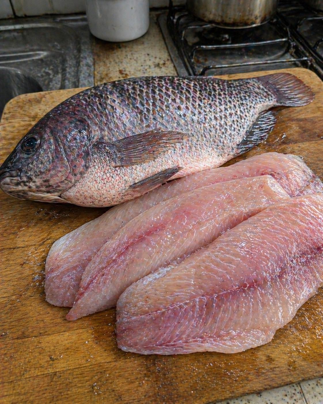 Gesundheitsexperten enthüllen: Was der Verzehr von Tilapia verursachen kann...