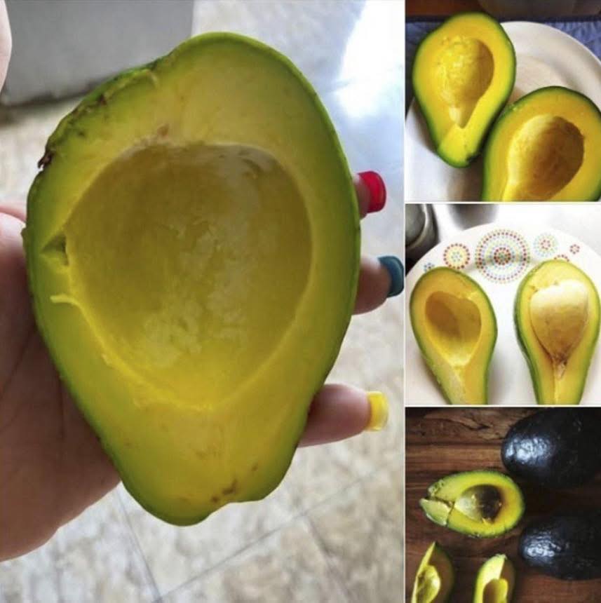 Ärzte enthüllen: Was der Verzehr von Avocado wirklich bewirkt