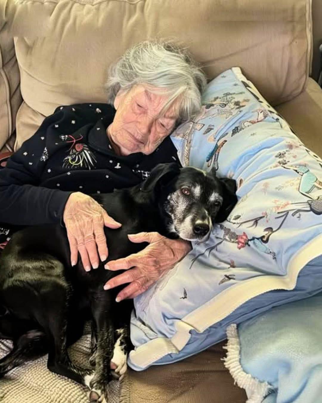 Als die Familie ums Erbe stritt, nahm ich als Einzige den Hund meiner Großmutter auf – und enthüllte so ihr verborgenes Geheimnis.