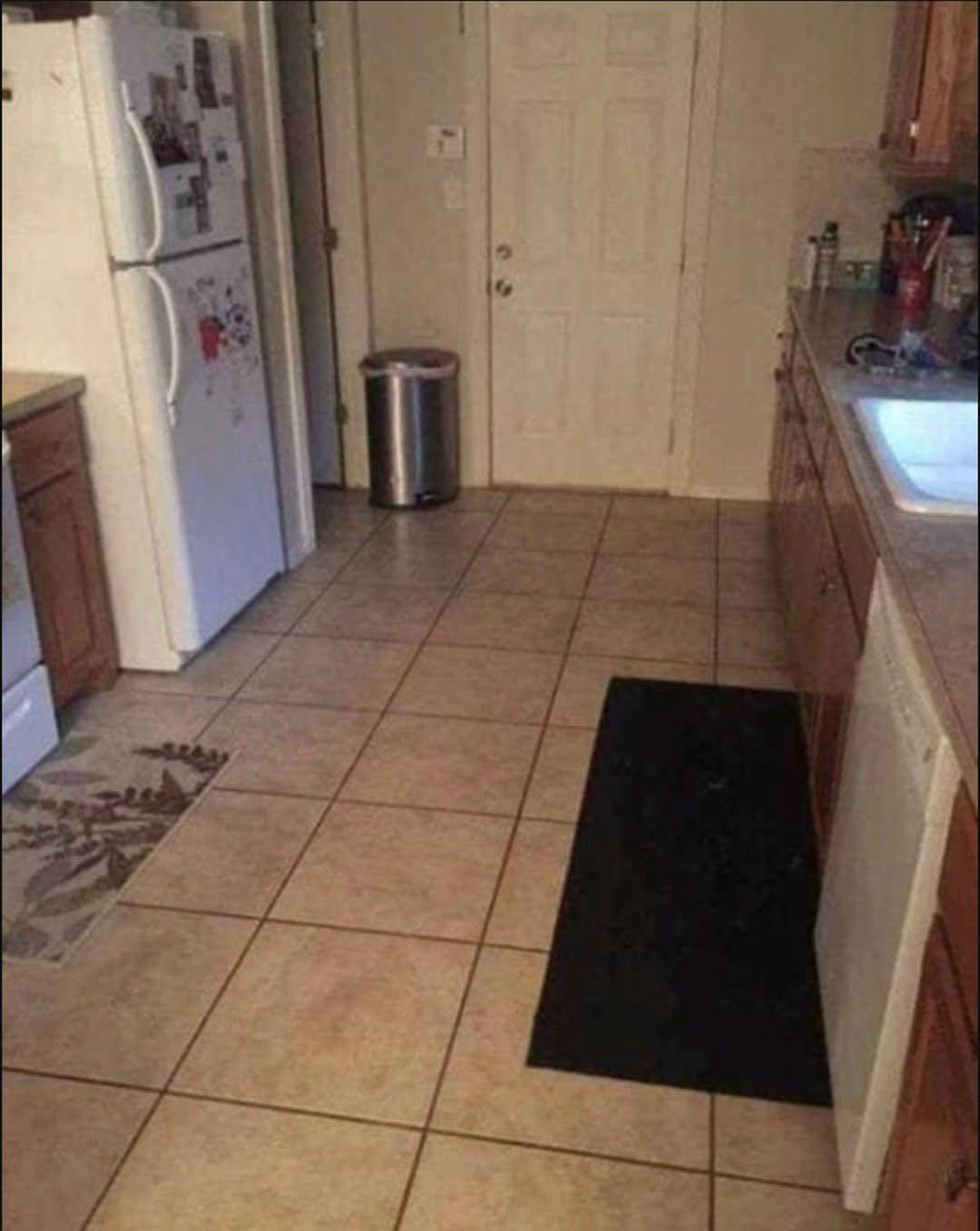 Dieser Hund versteckt sich mitten in der Küche – und kaum jemand entdeckt ihn