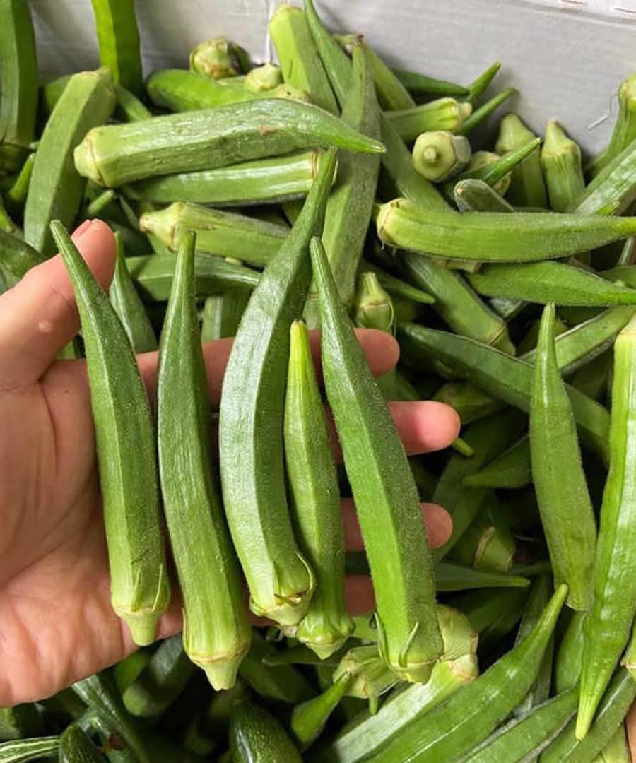 Die Wahrheit über Okra: Was die Forschung wirklich enthüllt