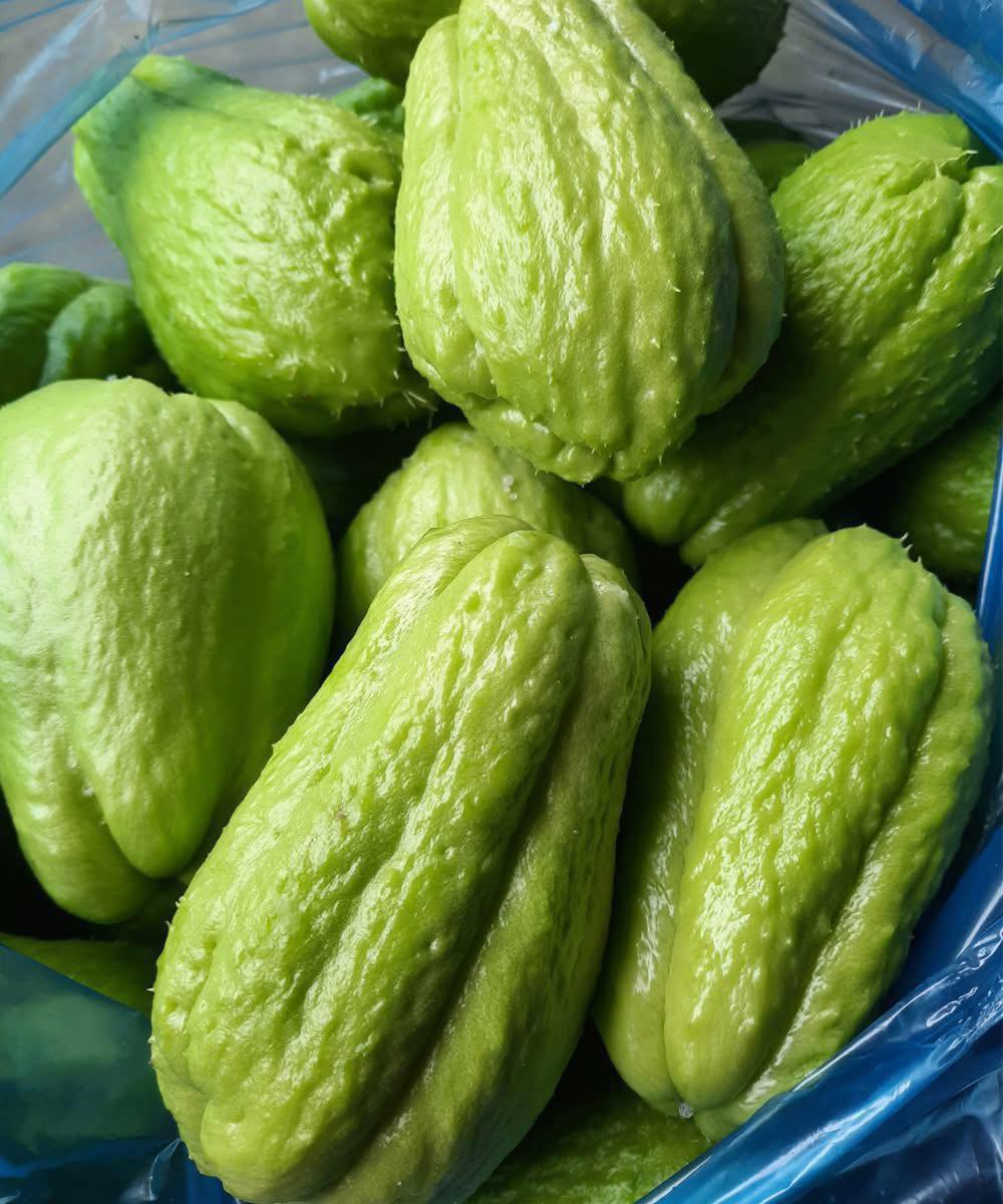 Ärzte verraten, was der Verzehr von Chayote wirklich bewirkt…
