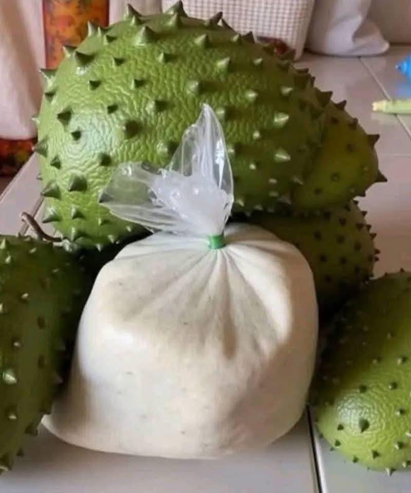Haben Sie schon vom Graviola-Blatt-Tee gehört? Darum erregt er Aufmerksamkeit