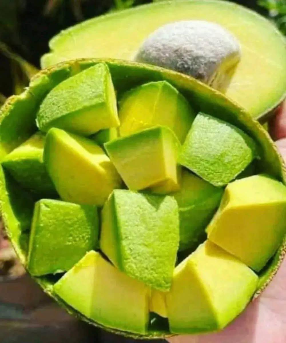 Ärzte verraten: Das bewirkt der Verzehr von Avocado...