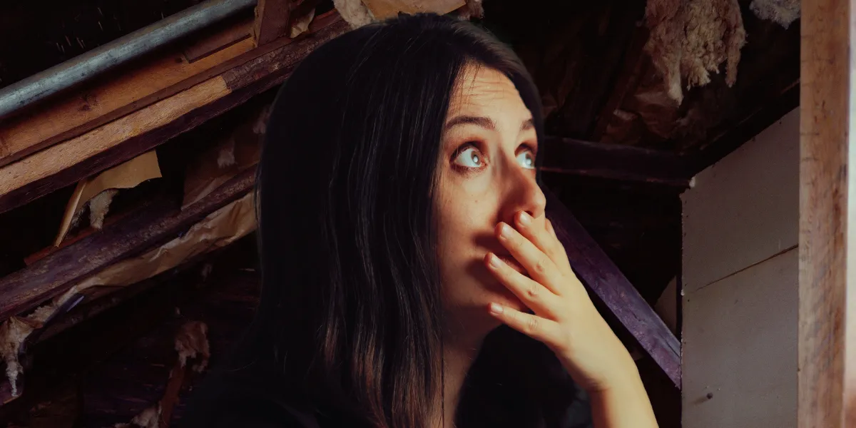 ME MUDÉ A LA CASA DE MI INFANCIA Y MIS VECINOS ME DIJERON QUE REVISARA EL ÁTICO – A LA MAÑANA SIGUIENTE, LE PEDÍ A MI AGENTE INMOBILIARIO QUE PUSIERA LA CASA EN VENTA.