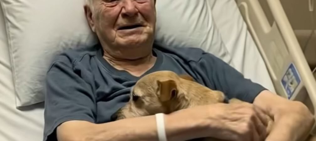 „Sie ließen seinen Hund sich verabschieden