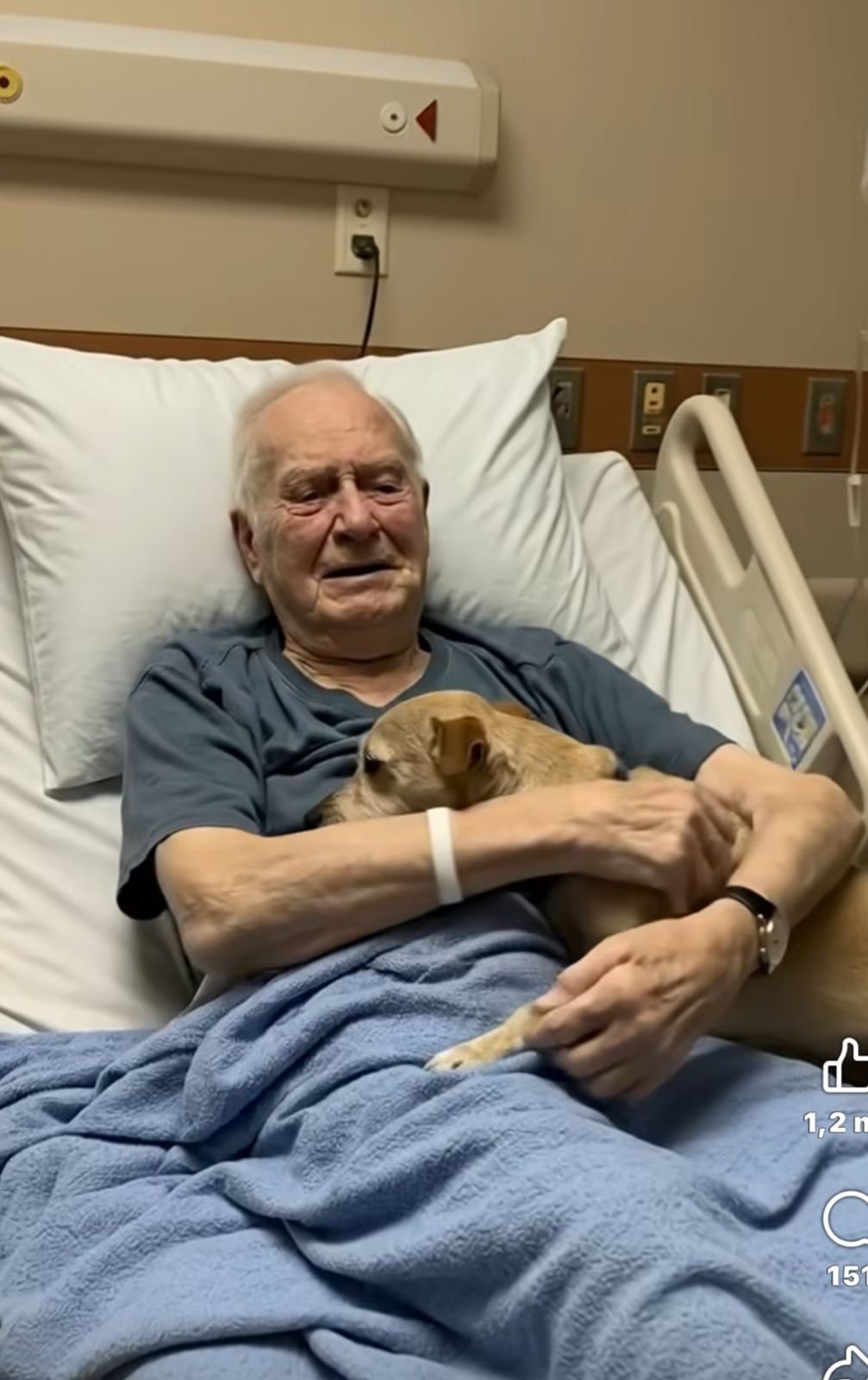 „Sie ließen seinen Hund sich verabschieden