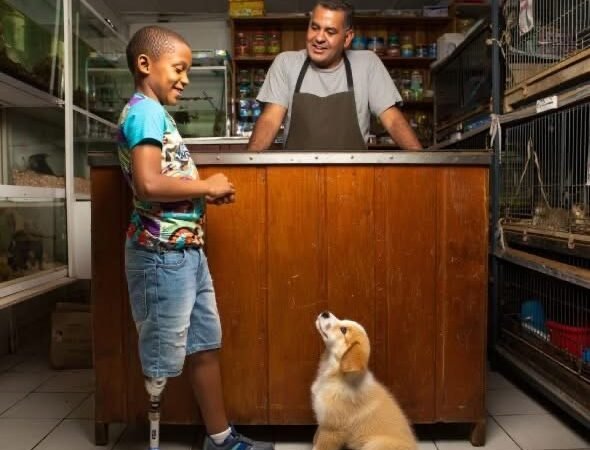 Die kleine Glocke über der Tür klingelte, als ein etwa zehnjähriger Junge den kleinen Zoogeschäftsladen betrat.