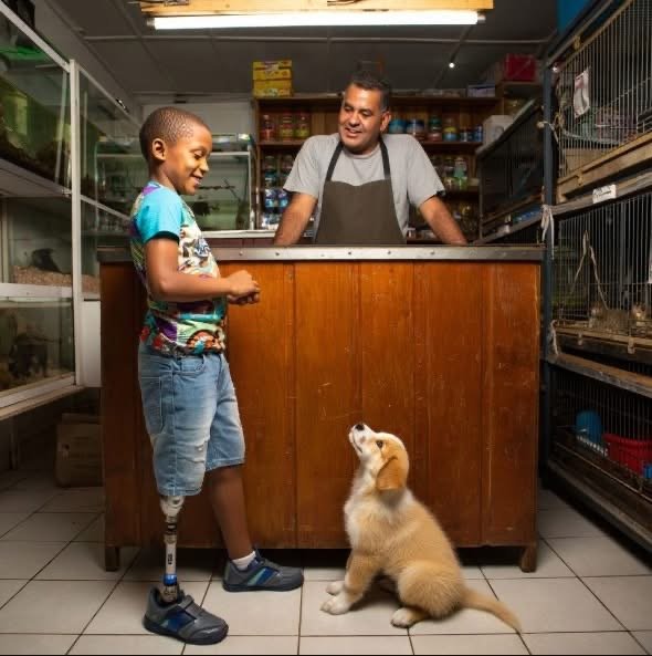 Die kleine Glocke über der Tür klingelte, als ein etwa zehnjähriger Junge den kleinen Zoogeschäftsladen betrat.