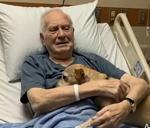 Der Abschied, den niemand vergaß